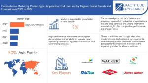 Fluorosilicone Market