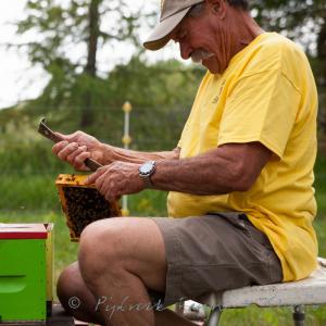 Wendell doing what he loves most, checking his bees in the great outdoors (photo credit: Pipcreek Studio)