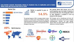 Acute Myeloid Leukemia Therapeutics Market