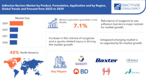 Advanced Visualization Market