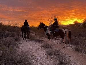 Westward Look Horseback Sunset