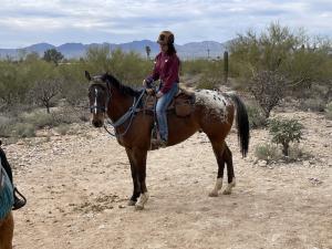 Westward Look Horseback Trail Ride