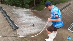 Roof Cleaning