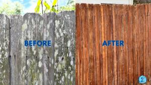 Apopka Fence Cleaning Before and After