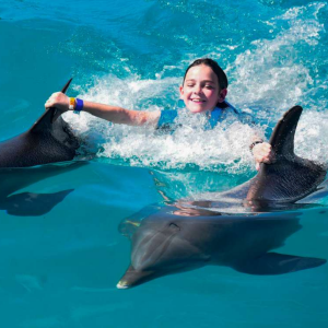 girl in dolphin discovery royal swim grand cayman