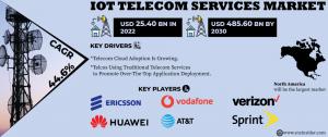 IoT Telecom Services Market Report