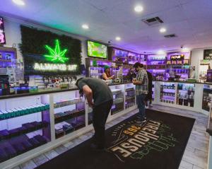 Cheap Cannabis Dispensary Maywood