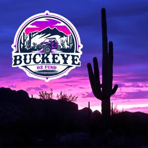 Sunset silhouette of a cactus
