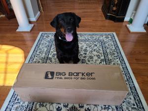 K9 Tank photo with Big Barker bed