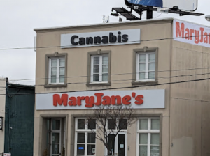 North York weed cannabis