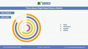 Three-phase Single Speed Motors Market Materials