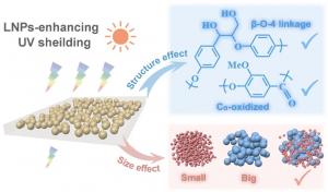 Enhancing Sun Protection with Lignin Nanoparticles in Cosmetics