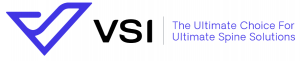 VSI Logo