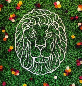 Lucky Lion Cannabis Dispensary