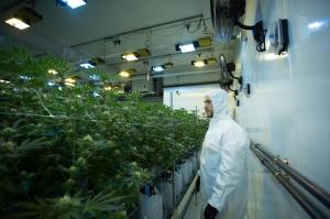 Marijuana Dispensary Fall River