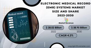 Electronic Medical Record (EMR) Systems Market