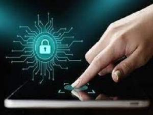 Privacy Management Tools Market
