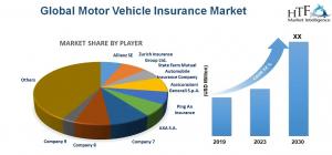 Motor Vehicle Insurance