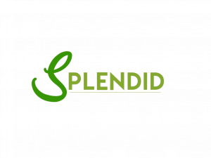 Splendid Landscape Services