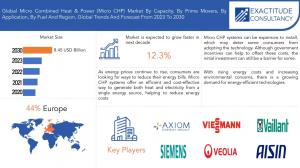 Micro Combined Heat Power (Micro Chp) Market