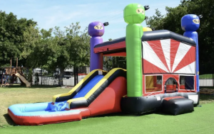 Inflatable Rentals - Dave's Bounce And Play Party Rentals