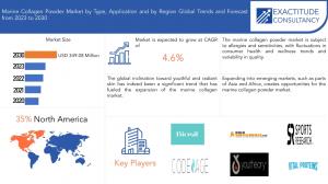 Marine Collagen Powder Market