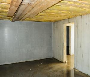 basement waterproofing in Ann Arbor