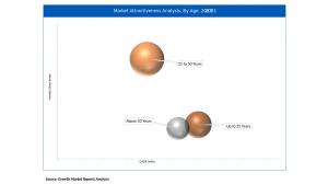 Neighborhood Electric Vehicle Market Age