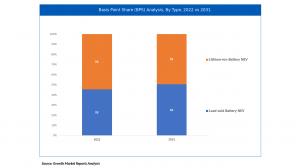 Neighborhood Electric Vehicle Market Type