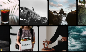 chasing creative palm coast