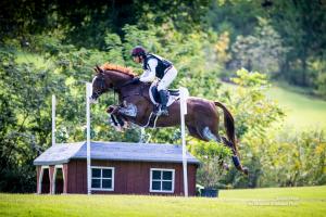 Equestrian Zachary Brandt jumps an obstacle on his horse during a riding tournament.