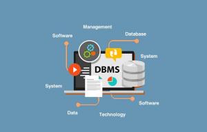Database Management System market