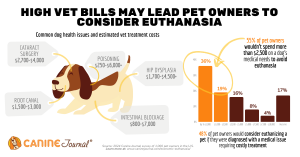 Economic Euthanasia in pets stats from Canine Journal