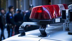 Public Safety and Security market