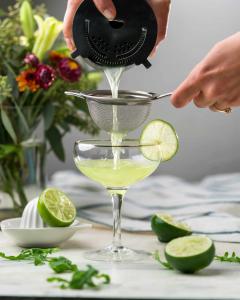 Premium Gin Market