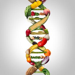 Nutrigenomics and personalized nutrition