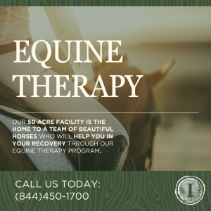A horse in a fields shows the concept of Equine Assisted Therapy is an evidence based practice for treating addiction and dual diagnosis