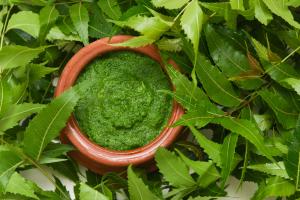 neem