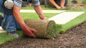 sod installation