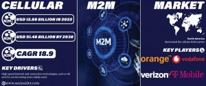 Cellular M2M Market Report