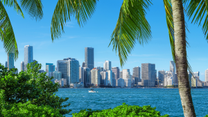 2024 Miami Real Estate Market: A Hotbed of Activity for Condo Buyers and Investors