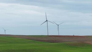 Three wind mills on green grass