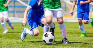 Sports Insurance Market