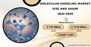 Molecular Modeling Market