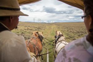 Passengers and horses travel the Oregon Trail in Wyoming.
