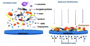 Membrane Filtration