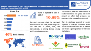 Amaranth Seeds Market