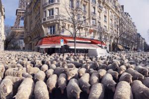 icebreaker latest campaign: sheep taking over in Paris