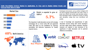 Audio Description Services Market