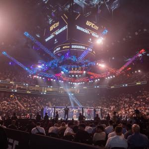 EXCLUSIVE HOTEL & TICKET PACKAGES AVAILABLE FOR UFC FIGHT NIGHT IN ABU DHABI